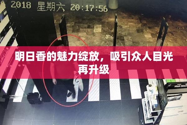 明日香的魅力绽放，吸引众人目光再升级