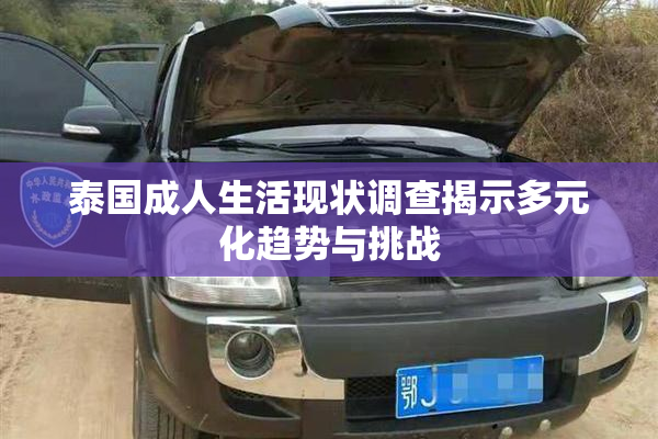 泰国成人生活现状调查揭示多元化趋势与挑战