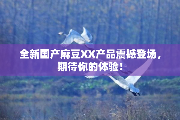 全新国产麻豆XX产品震撼登场，期待你的体验！
