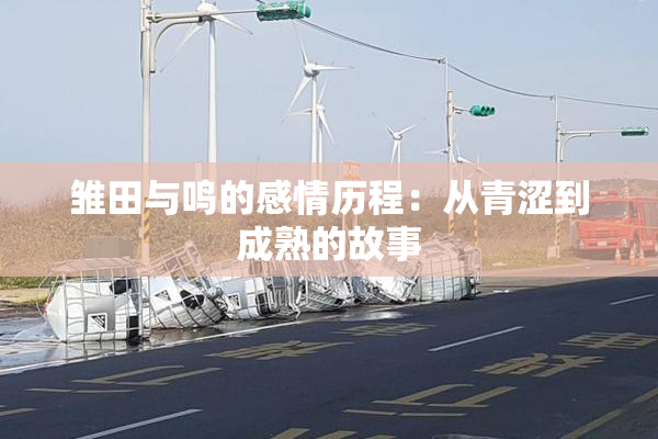 雏田与鸣的感情历程：从青涩到成熟的故事