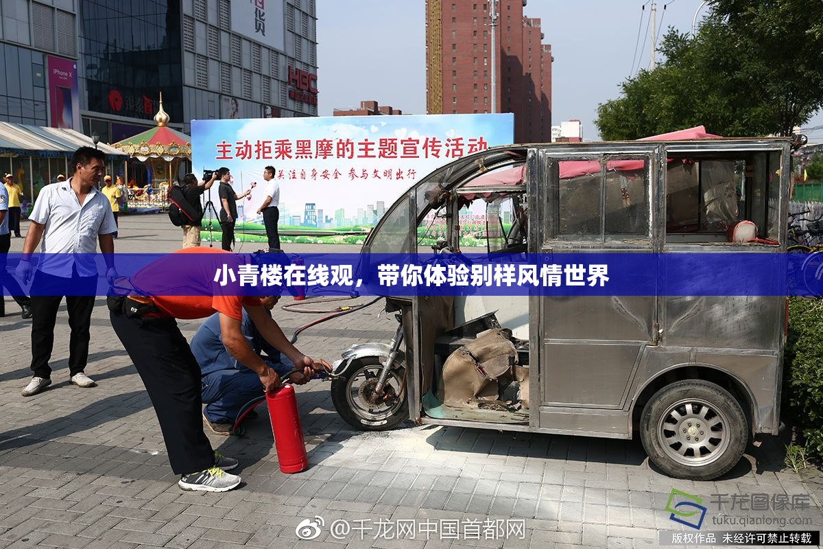 小青楼在线观，带你体验别样风情世界