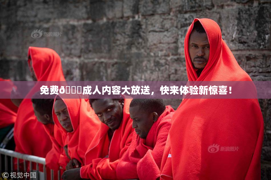 免费🔞成人内容大放送，快来体验新惊喜！