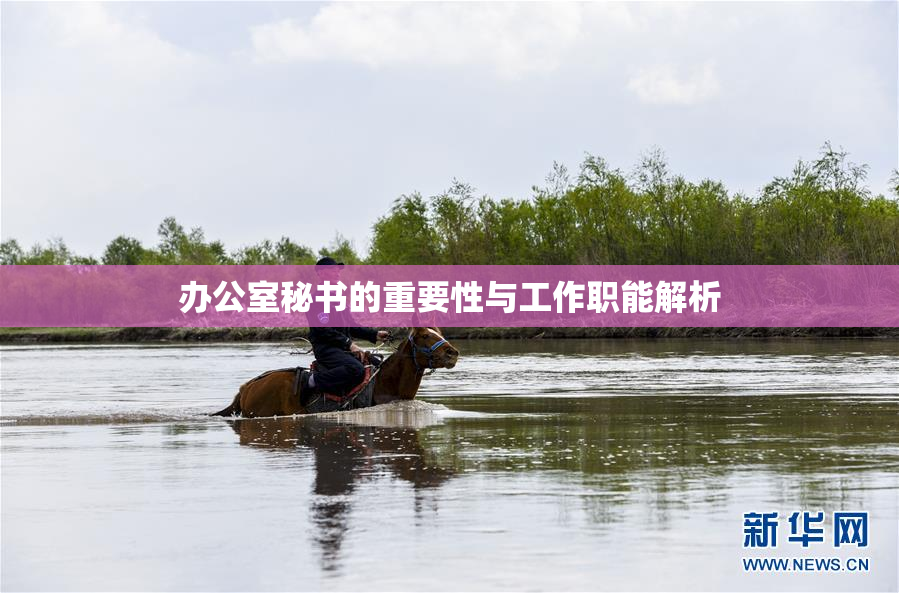 办公室秘书的重要性与工作职能解析