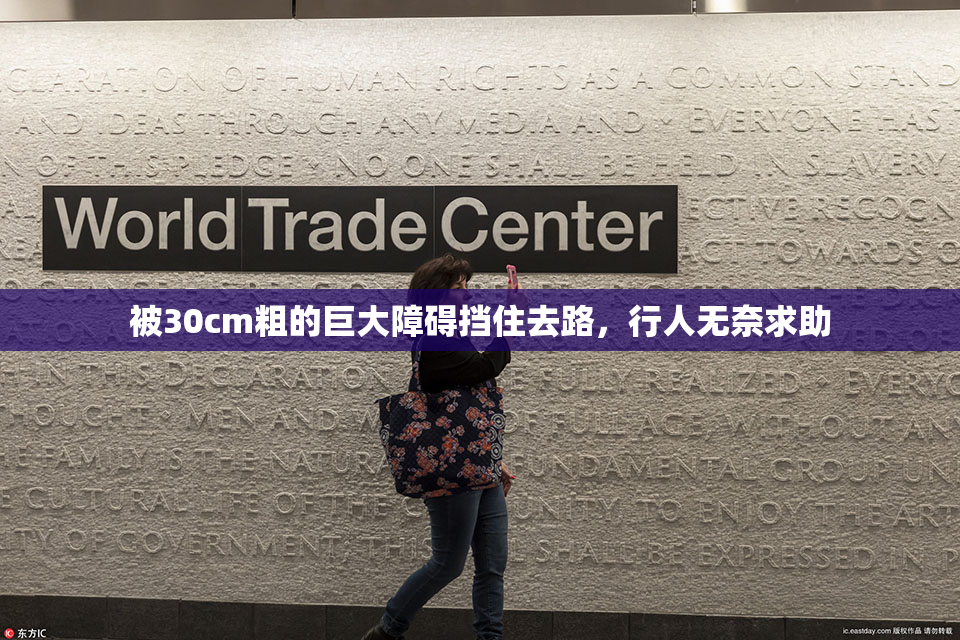被30cm粗的巨大障碍挡住去路，行人无奈求助