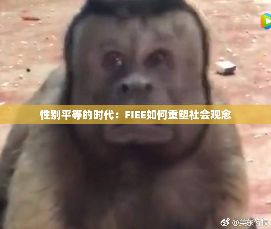 性别平等的时代：FIEE如何重塑社会观念
