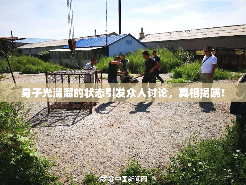 身子光溜溜的状态引发众人讨论，真相揭晓！