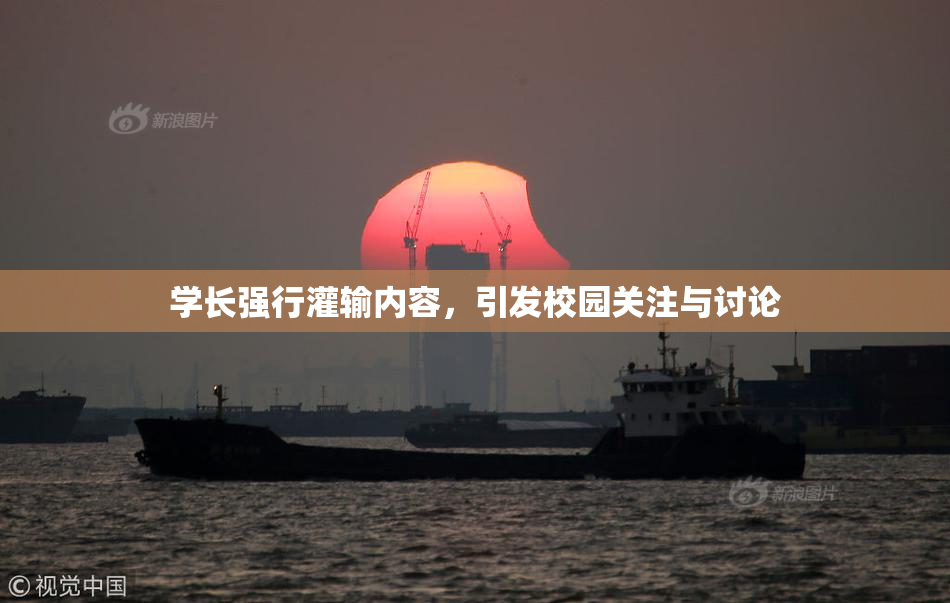 学长强行灌输内容，引发校园关注与讨论