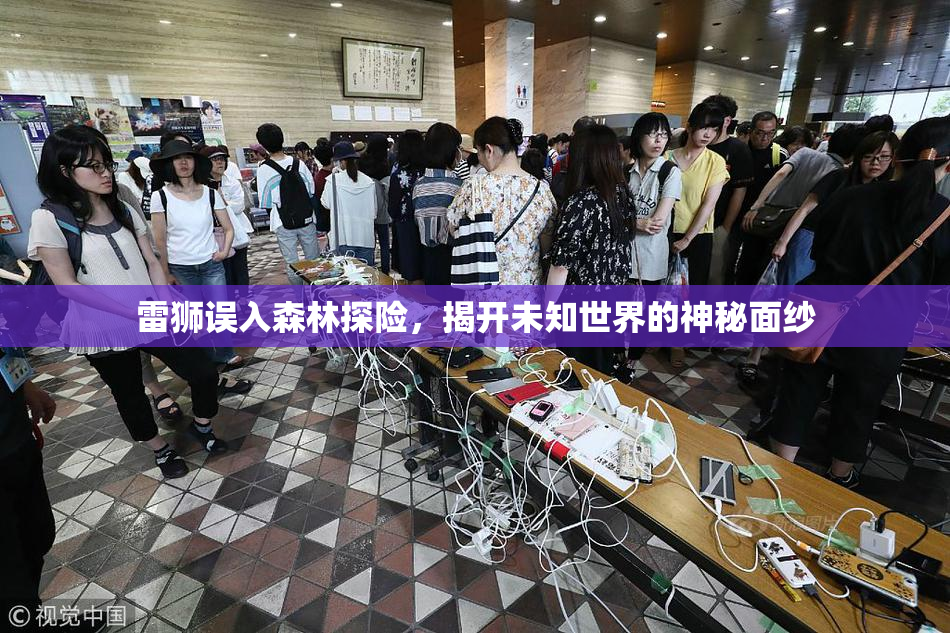 雷狮误入森林探险，揭开未知世界的神秘面纱