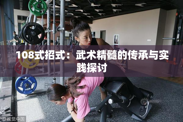 108式招式：武术精髓的传承与实践探讨