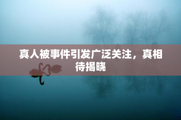 真人被事件引发广泛关注，真相待揭晓