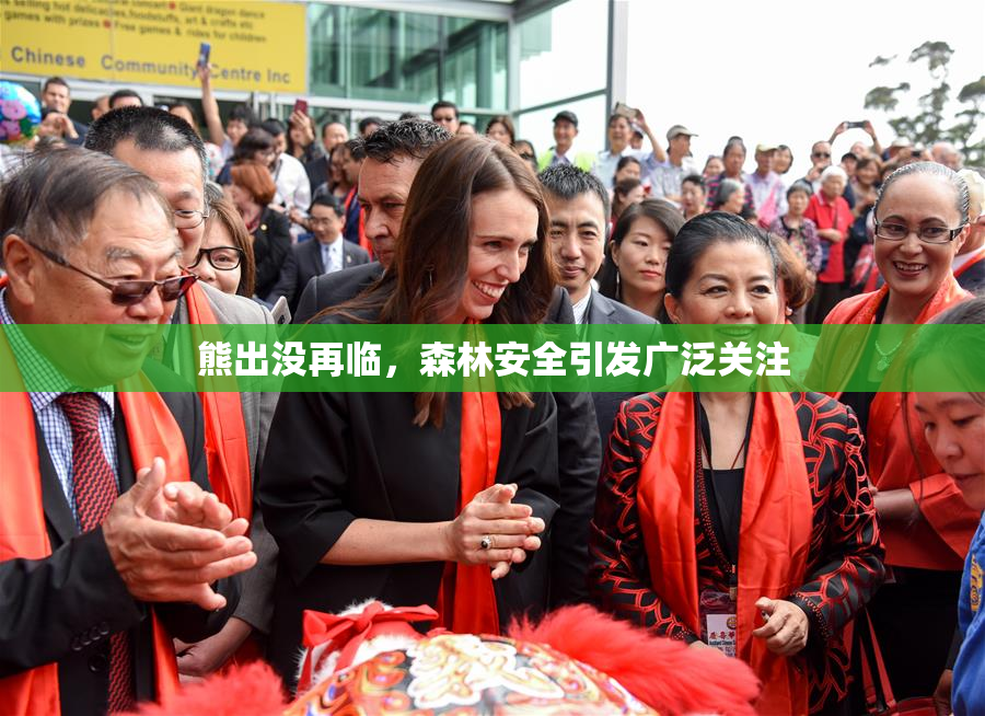 熊出没再临，森林安全引发广泛关注
