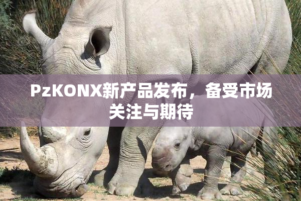 PzKONX新产品发布，备受市场关注与期待