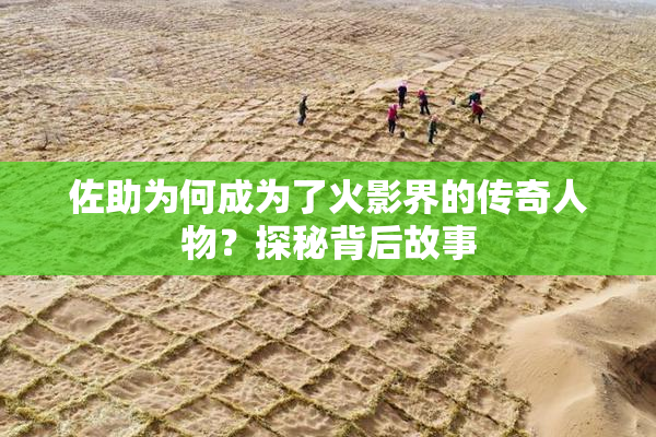 佐助为何成为了火影界的传奇人物？探秘背后故事