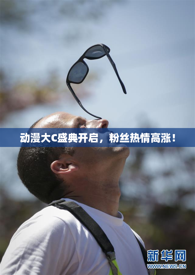 动漫大C盛典开启，粉丝热情高涨！