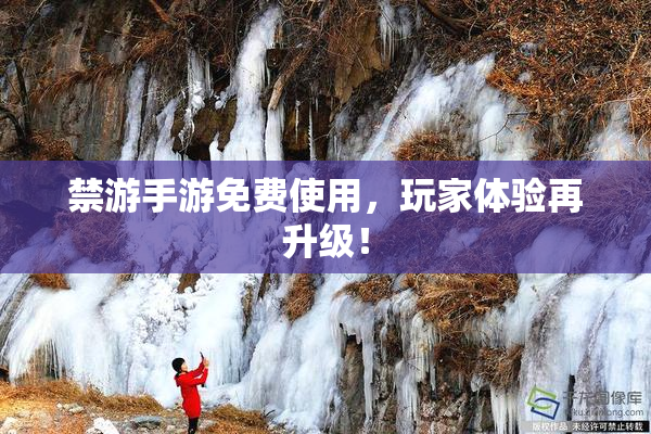 禁游手游免费使用，玩家体验再升级！