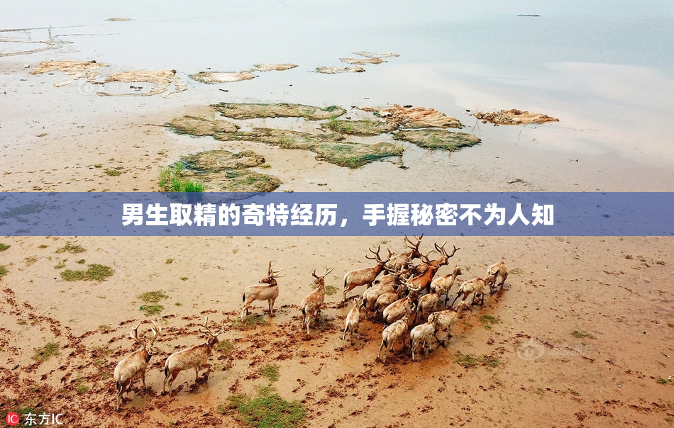 男生取精的奇特经历，手握秘密不为人知