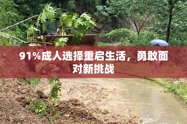 91%成人选择重启生活，勇敢面对新挑战