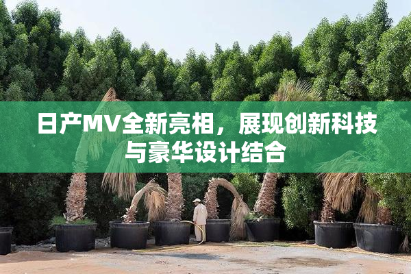 日产MV全新亮相，展现创新科技与豪华设计结合