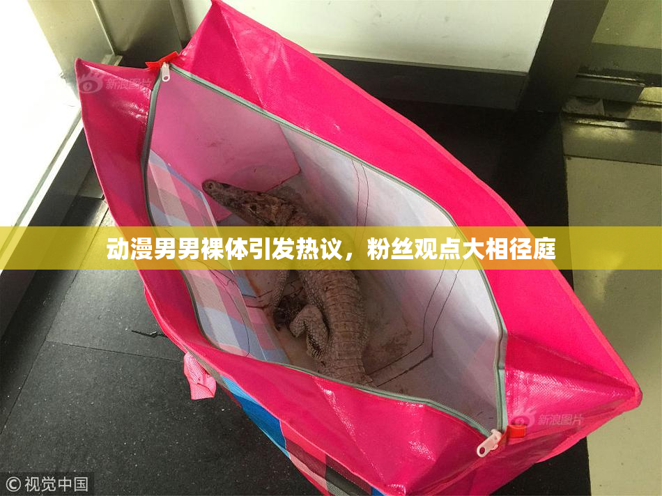 动漫男男裸体引发热议，粉丝观点大相径庭