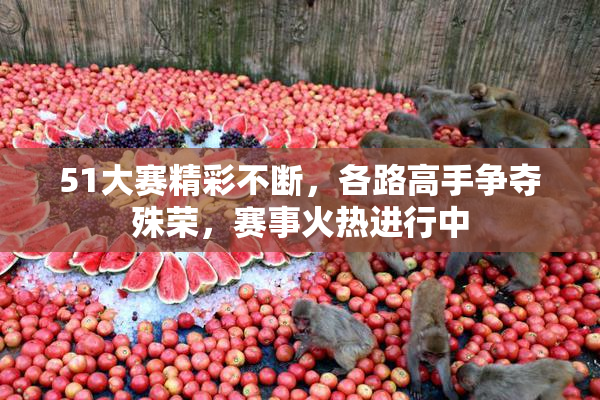 51大赛精彩不断，各路高手争夺殊荣，赛事火热进行中