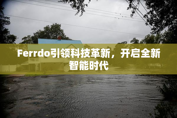 Ferrdo引领科技革新，开启全新智能时代