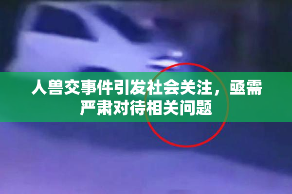 人兽交事件引发社会关注，亟需严肃对待相关问题