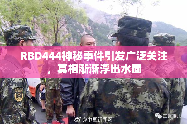 RBD444神秘事件引发广泛关注，真相渐渐浮出水面