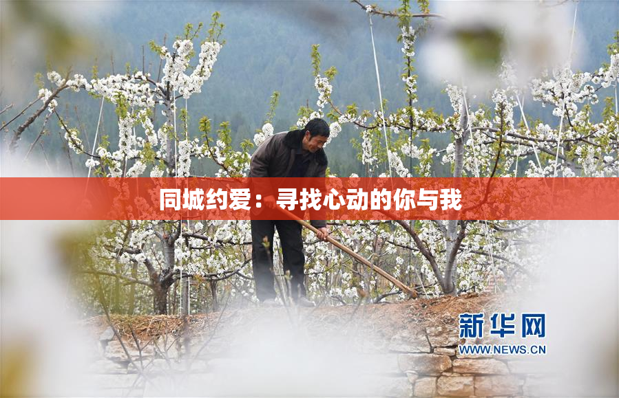 同城约爱：寻找心动的你与我