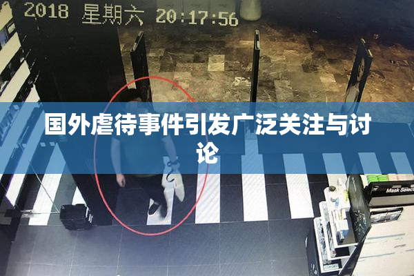 国外虐待事件引发广泛关注与讨论