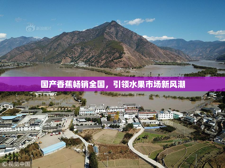 国产香蕉畅销全国，引领水果市场新风潮