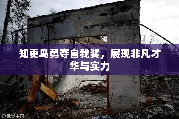知更鸟勇夺自我奖，展现非凡才华与实力