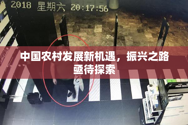 中国农村发展新机遇，振兴之路亟待探索