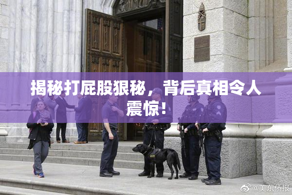 揭秘打屁股狠秘，背后真相令人震惊！