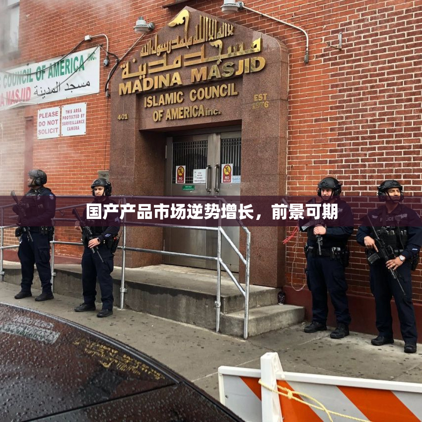 国产产品市场逆势增长，前景可期