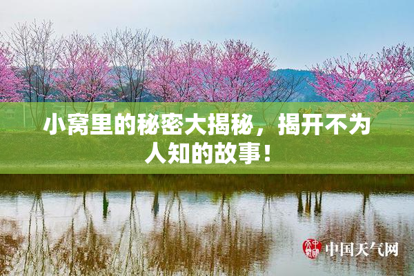 小窝里的秘密大揭秘，揭开不为人知的故事！
