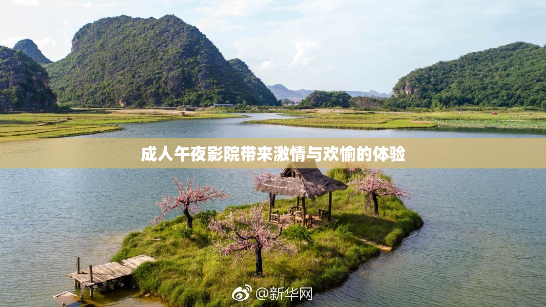 成人午夜影院带来激情与欢愉的体验