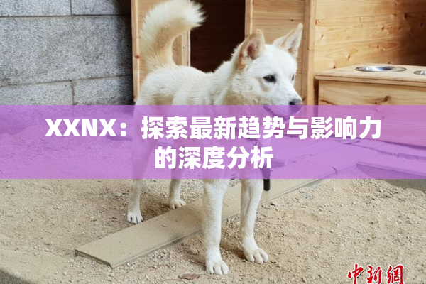 XXNX：探索最新趋势与影响力的深度分析