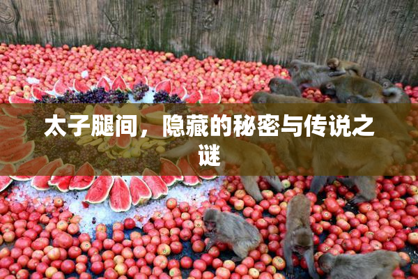 太子腿间，隐藏的秘密与传说之谜