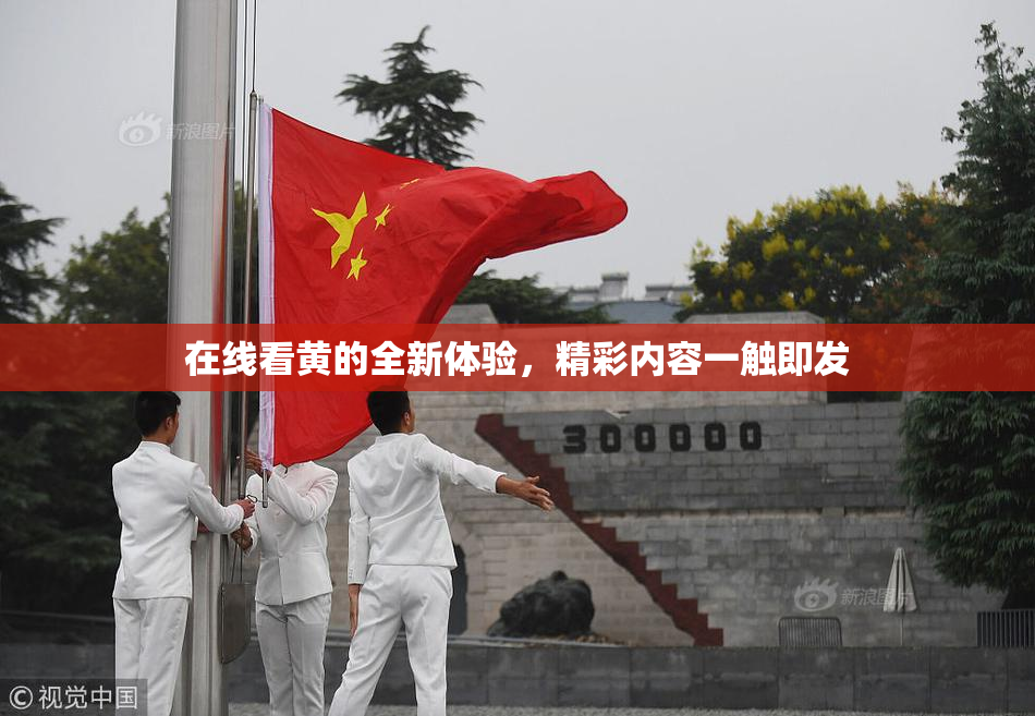 在线看黄的全新体验，精彩内容一触即发