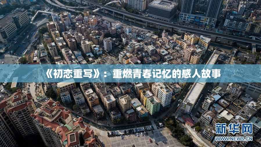 《初恋重写》：重燃青春记忆的感人故事
