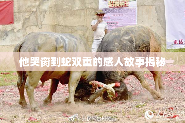 他哭脔到蛇双重的感人故事揭秘