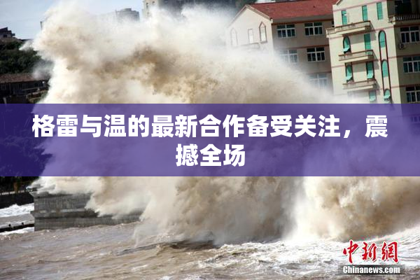 格雷与温的最新合作备受关注，震撼全场