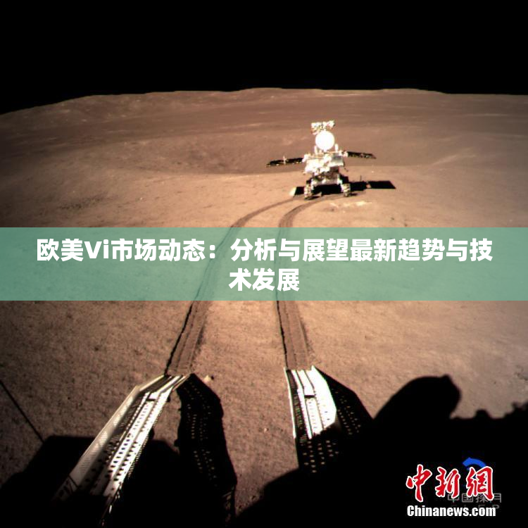 欧美Vi市场动态：分析与展望最新趋势与技术发展