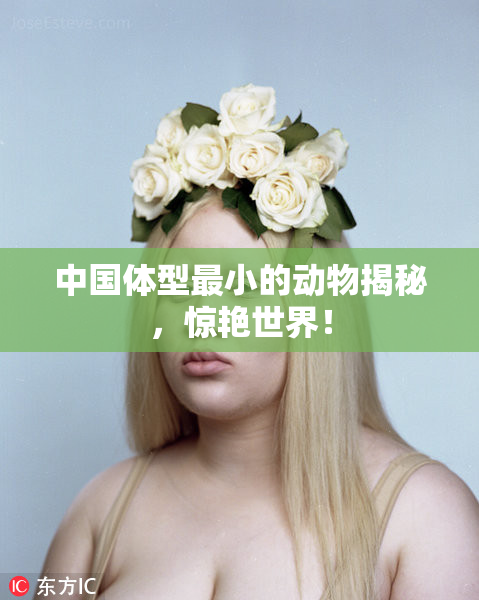 中国体型最小的动物揭秘，惊艳世界！
