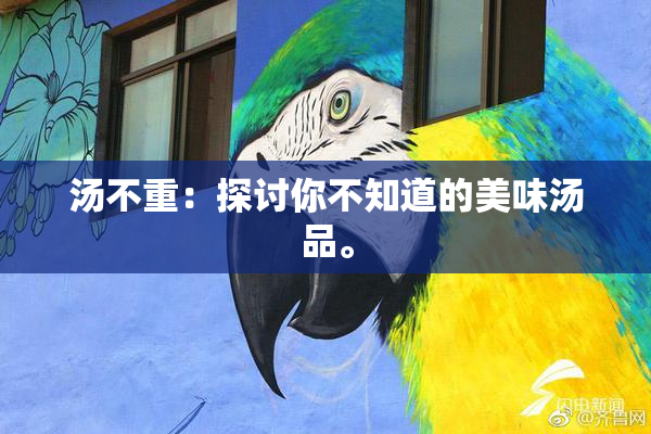 汤不重：探讨你不知道的美味汤品。
