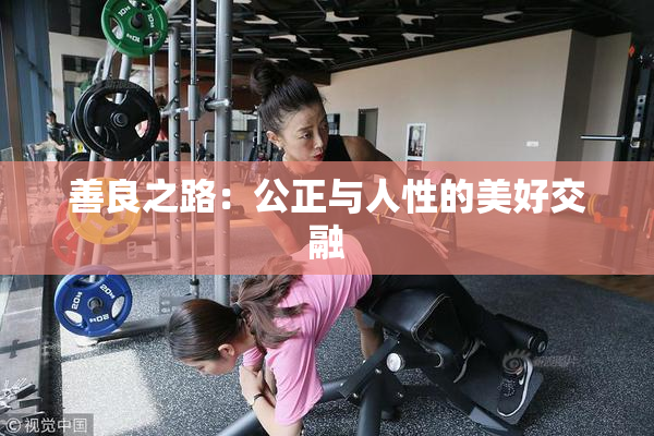 善良之路：公正与人性的美好交融