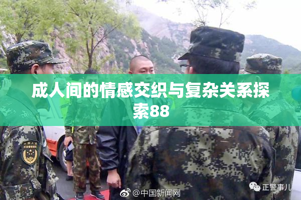 成人间的情感交织与复杂关系探索88