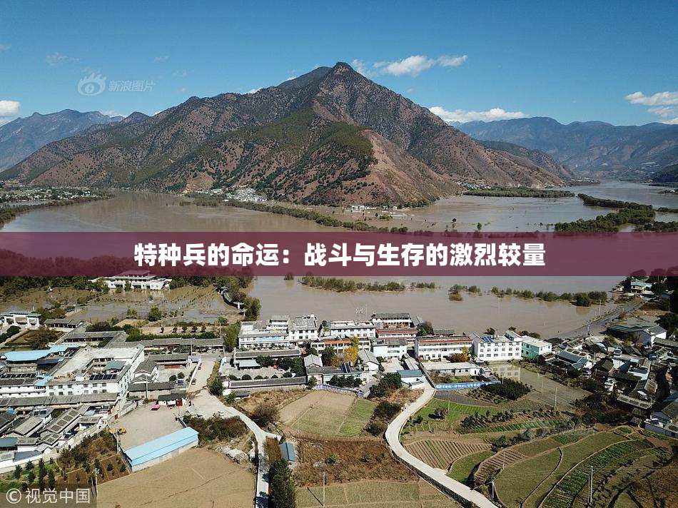 特种兵的命运：战斗与生存的激烈较量