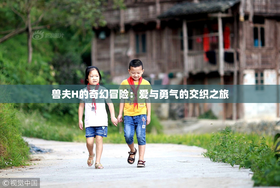 兽夫H的奇幻冒险：爱与勇气的交织之旅