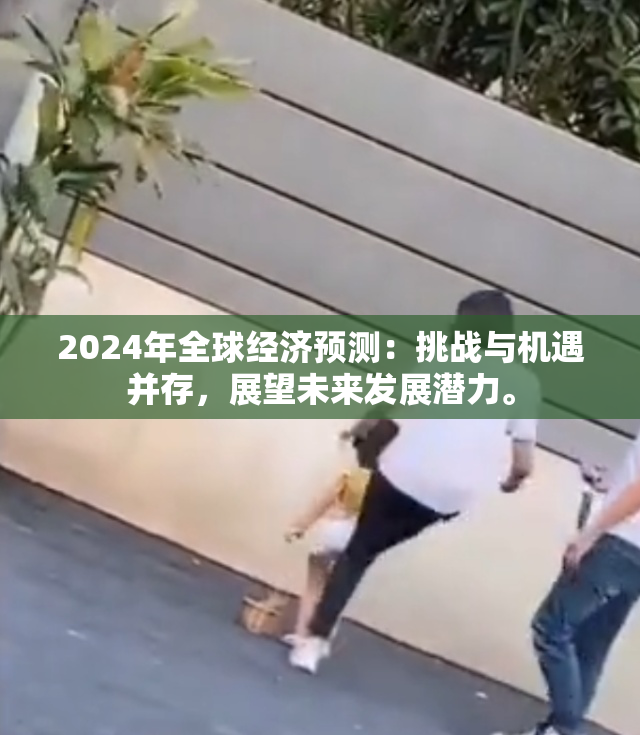2024年全球经济预测：挑战与机遇并存，展望未来发展潜力。
